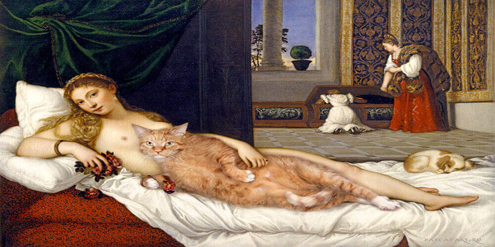 Кот Заратустра - «Искусство толстого кота»